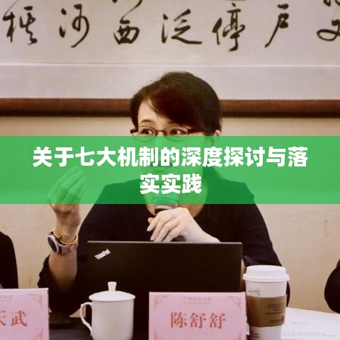 关于七大机制的深度探讨与落实实践