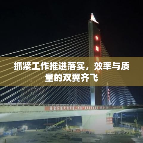 抓紧工作推进落实，效率与质量的双翼齐飞