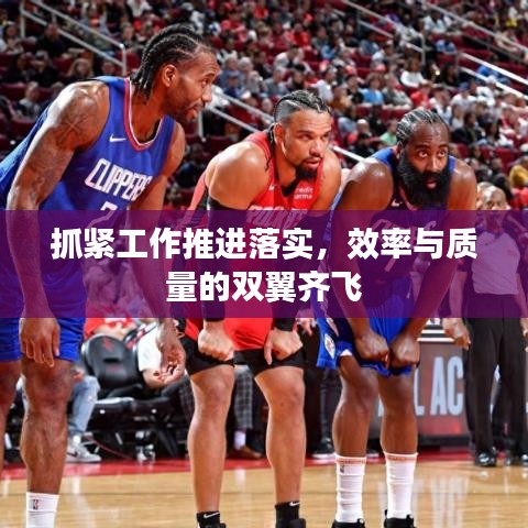 抓紧工作推进落实,效率与质量的双翼齐飞