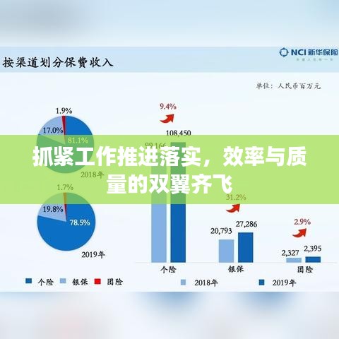 抓紧工作推进落实,效率与质量的双翼齐飞