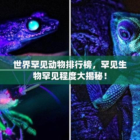 世界罕见动物排行榜,罕见生物罕见程度大揭秘!