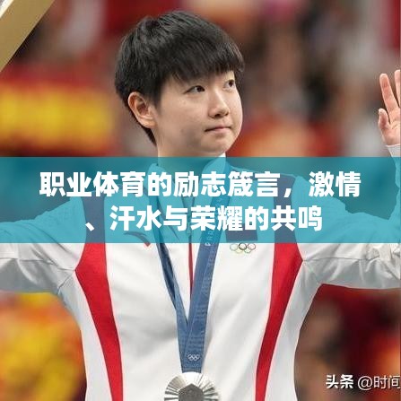 职业体育的励志箴言，激情、汗水与荣耀的共鸣