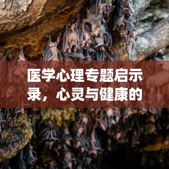医学心理专题启示录,心灵与健康的交融之道