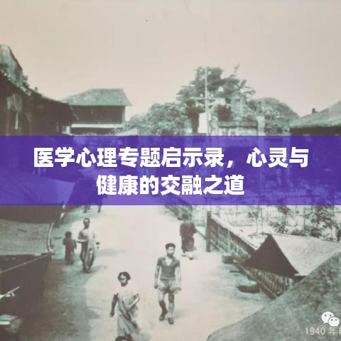 医学心理专题启示录,心灵与健康的交融之道