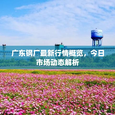 联系方式 第161页