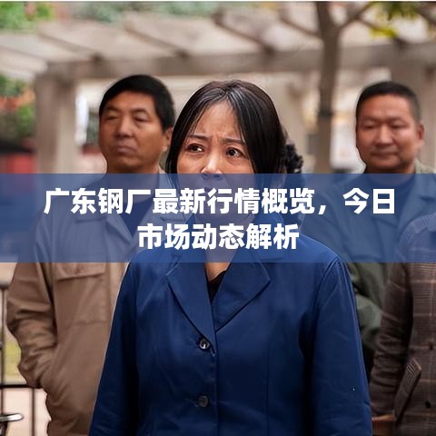 广东钢厂最新行情概览,今日市场动态解析