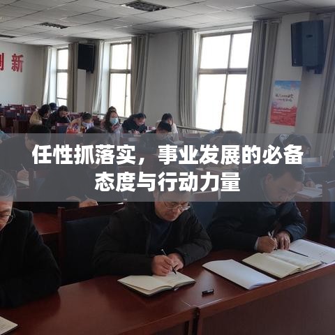 任性抓落实，事业发展的必备态度与行动力量