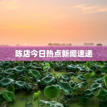 陈店今日热点新闻速递