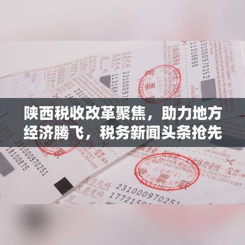 陕西税收改革聚焦,助力地方经济腾飞,税务新闻头条抢先看!