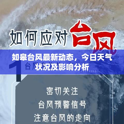 如皋台风最新动态，今日天气状况及影响分析