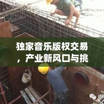 独家音乐版权交易，产业新风口与挑战