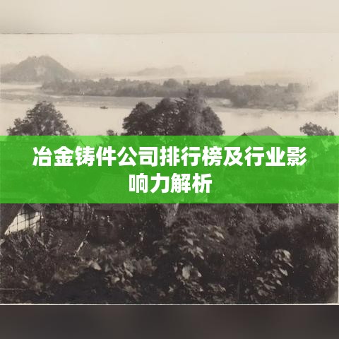 冶金铸件公司排行榜及行业影响力解析