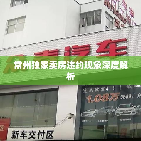 功成名就 第3页
