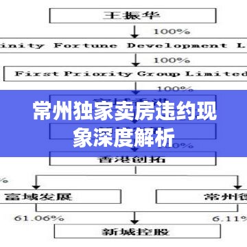 常州独家卖房违约现象深度解析