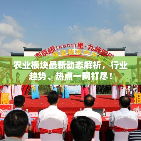 农业板块最新动态解析，行业趋势、热点一网打尽！