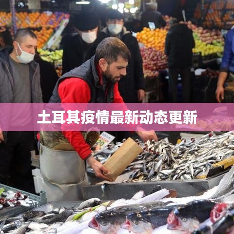 在线咨询 第166页