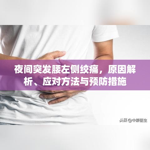 夜间突发腰左侧绞痛，原因解析、应对方法与预防措施