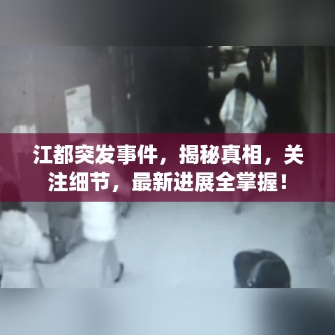 江都突发事件，揭秘真相，关注细节，最新进展全掌握！