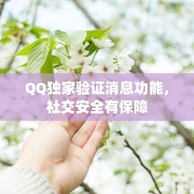 QQ独家验证消息功能，社交安全有保障