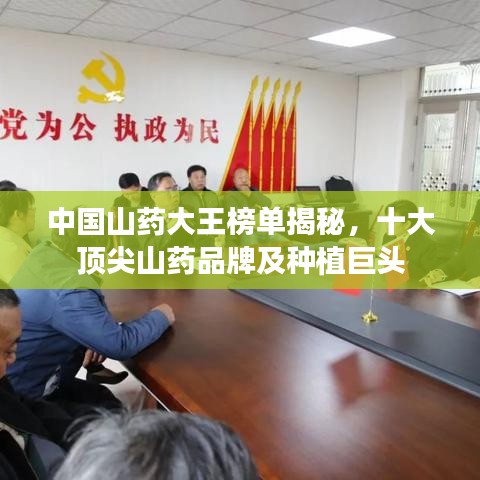 中国山药大王榜单揭秘,十大顶尖山药品牌及种植巨头