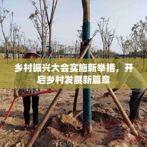 乡村振兴大会实施新举措，开启乡村发展新篇章