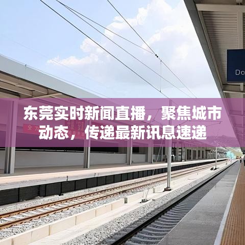 东莞实时新闻直播，聚焦城市动态，传递最新讯息速递