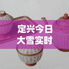 定兴今日大雪实时更新，最新情况查询报告