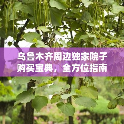 宁静致远 第3页