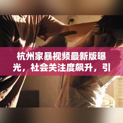 杭州家暴视频最新版曝光，社会关注度飙升，引发热议