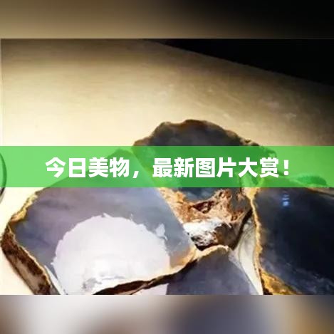 今日美物，最新图片大赏！