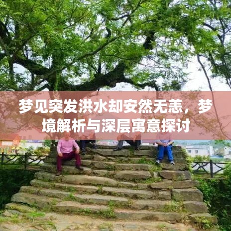 梦见突发洪水却安然无恙，梦境解析与深层寓意探讨