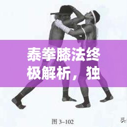 逸兴遄飞 第3页