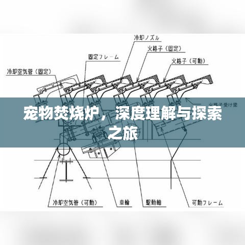 对答如流 第3页