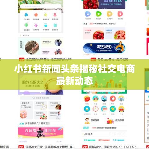 小红书新闻头条揭秘社交电商最新动态