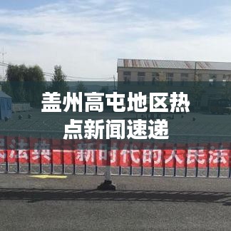 盖州高屯地区热点新闻速递