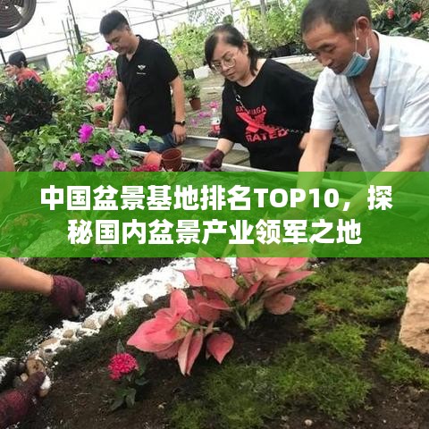 中国盆景基地排名TOP10，探秘国内盆景产业领军之地