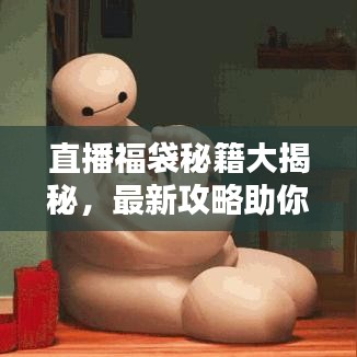 直播福袋秘籍大揭秘，最新攻略助你赢取丰厚福利！
