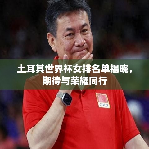 土耳其世界杯女排名单揭晓,期待与荣耀同行