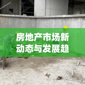 房地产市场新动态与发展趋势深度探索，独家房产采访专题