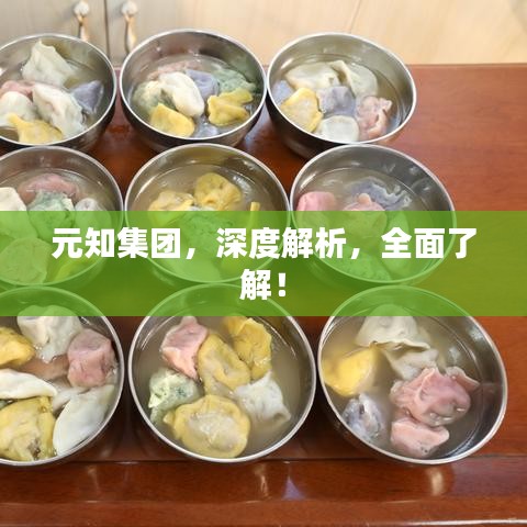 元知集团,深度解析,全面了解!