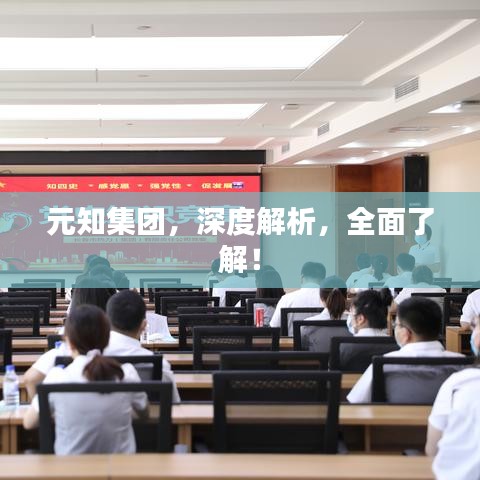 元知集团,深度解析,全面了解!