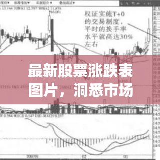 最新股票涨跌表图片，洞悉市场趋势，明智投资选择