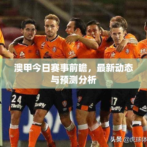 澳甲今日赛事前瞻,最新动态与预测分析