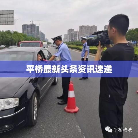 平桥最新头条资讯速递