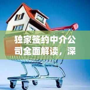 独家签约中介公司全面解读，深度剖析独家合作细节
