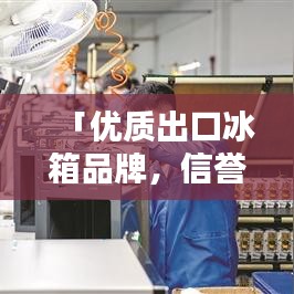 「优质出口冰箱品牌，信誉品质双赢，百度权威推荐」