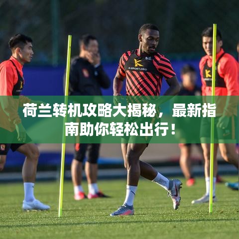 荷兰转机攻略大揭秘,最新指南助你轻松出行!