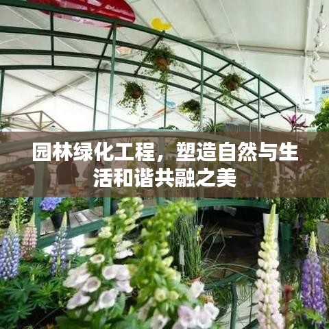 百不得一 第4页