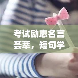 考试励志名言荟萃，短句学习之旅，激发无限潜能！