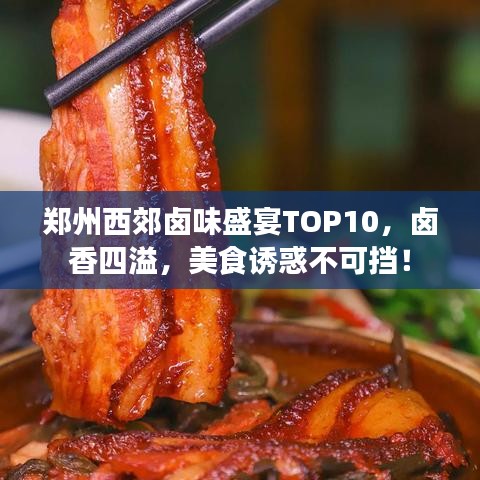 郑州西郊卤味盛宴TOP10，卤香四溢，美食诱惑不可挡！